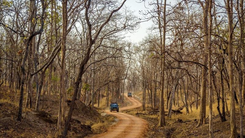 The Riverwood Forest Retreat-Pench