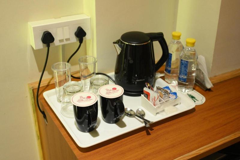 Hotel Grand Kailash — photo 10