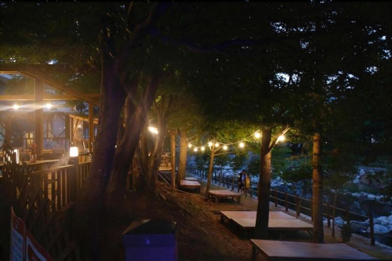 MUJU in GuestHouse - Hostel — general view