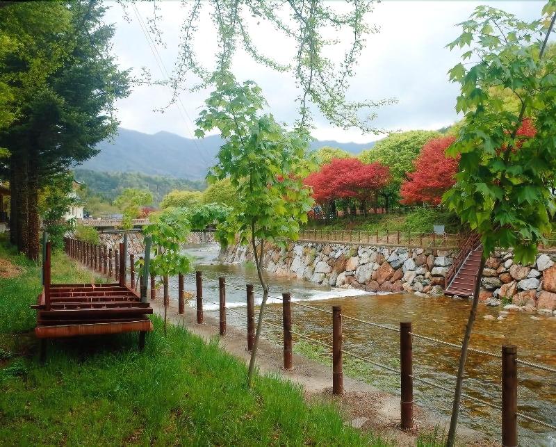 MUJU in GuestHouse - Hostel image