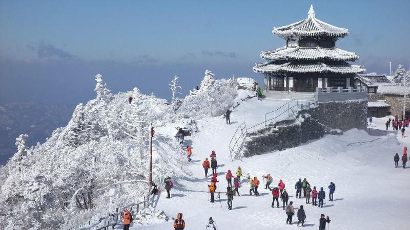 MUJU in GuestHouse - Hostel image