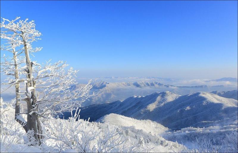 MUJU in GuestHouse - Hostel image
