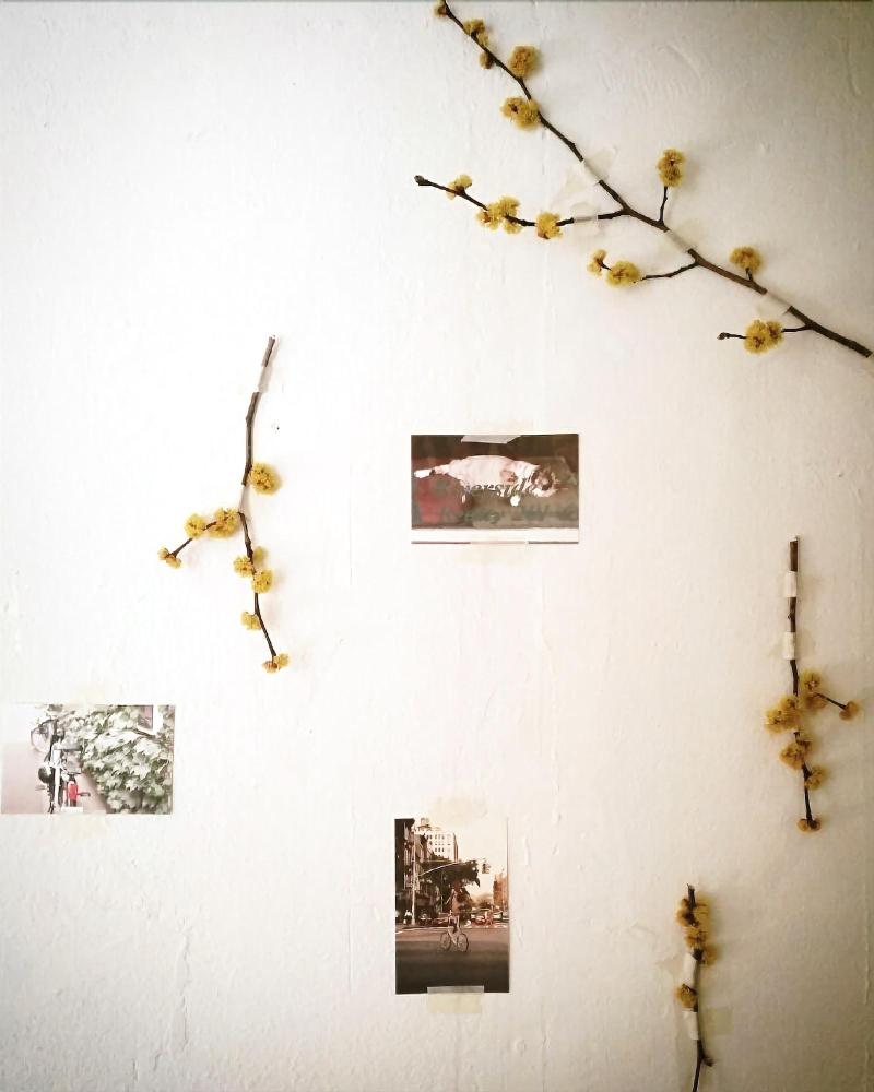 MUJU in GuestHouse - Hostel image