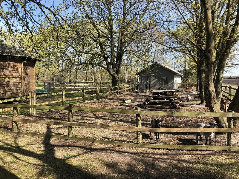 Hestkær Family Rooms image