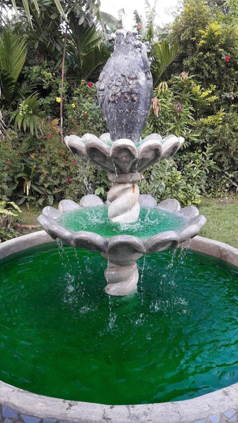 Relaxing Garden Resort image