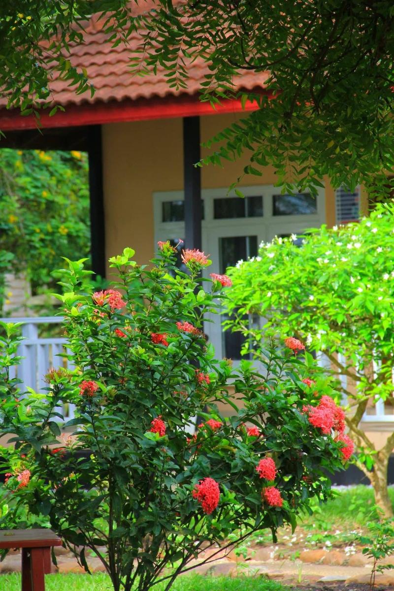 Charlestina Beach Resort image