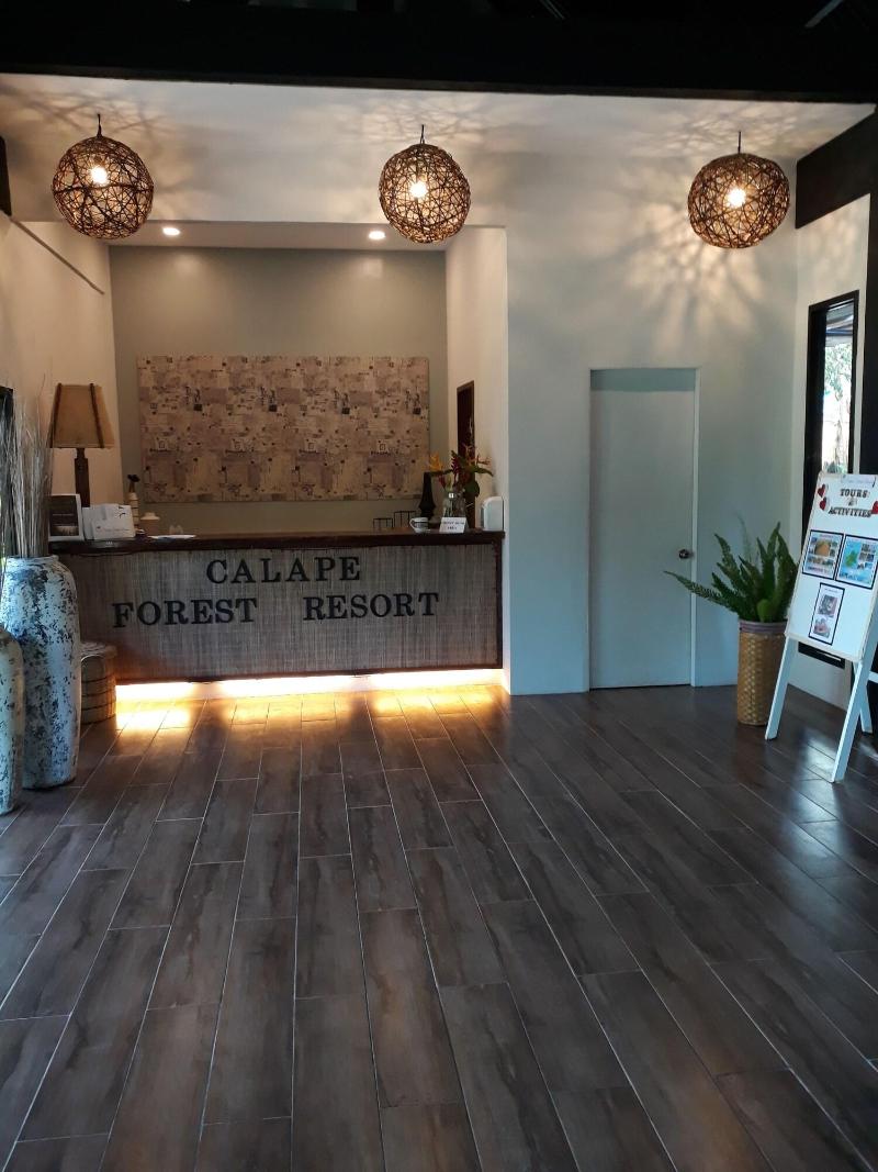 Lobby & Reception