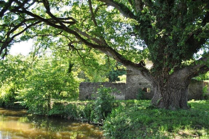 Le Manoir De La Vieille Douve image