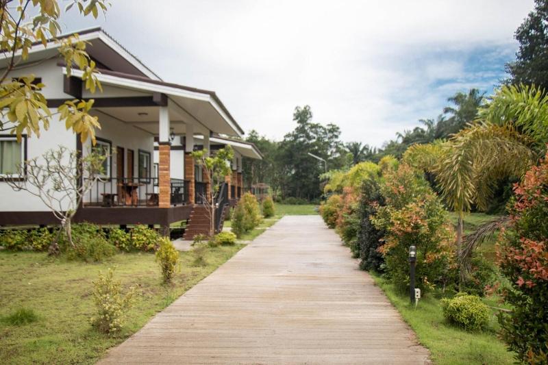 Brown andaman  krabi image