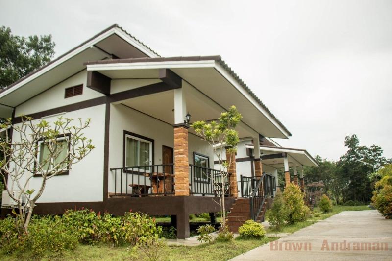 Brown andaman  krabi image