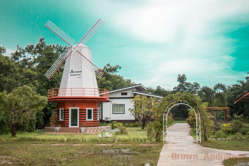 Brown andaman  krabi image