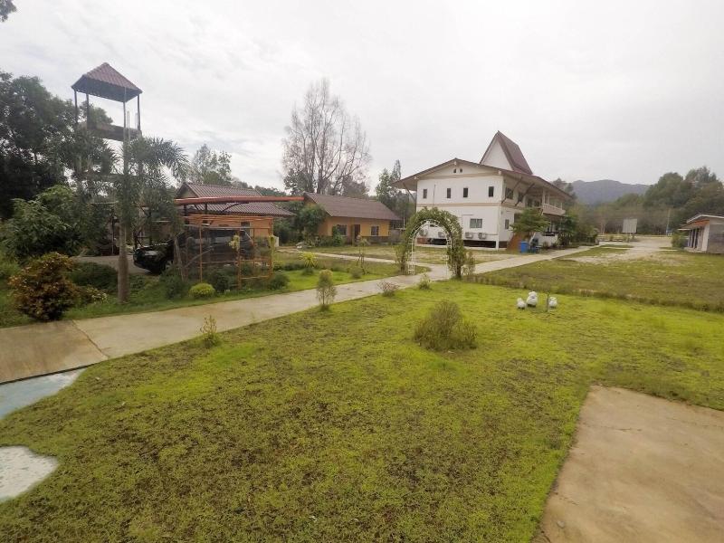 Brown andaman  krabi image