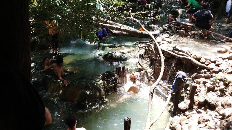 Brown andaman  krabi image