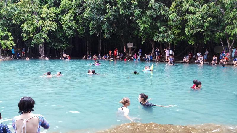Brown andaman  krabi image