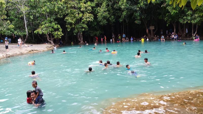 Brown andaman  krabi image
