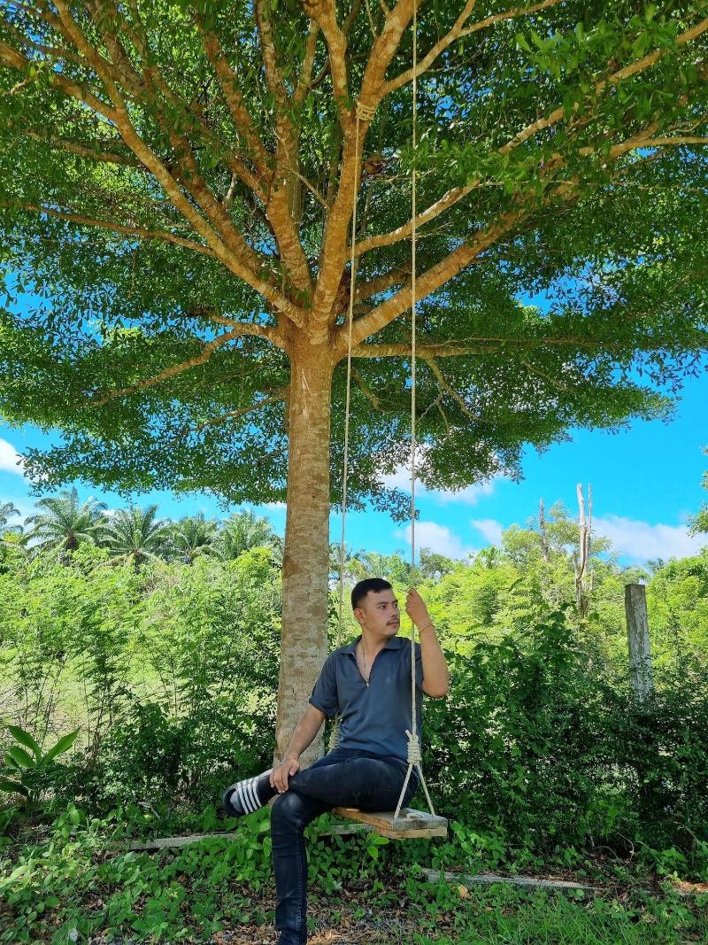 Brown andaman  krabi image