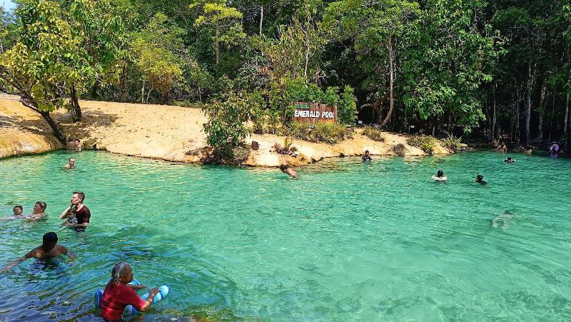 Brown andaman  krabi image 2