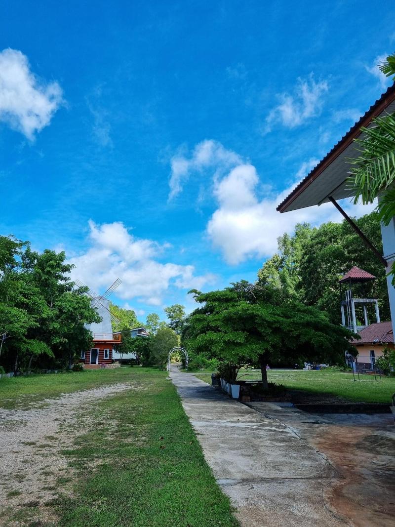 Brown andaman  krabi image