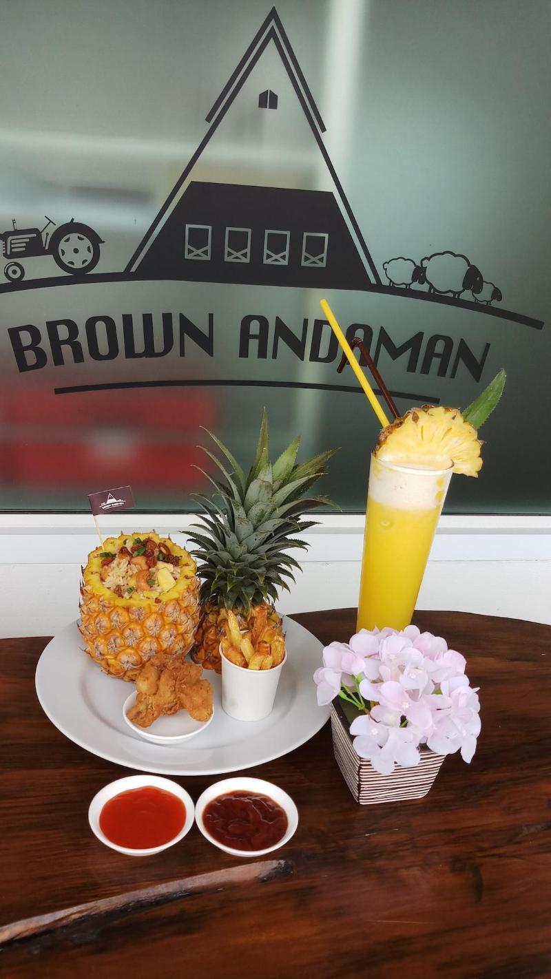Brown andaman  krabi image