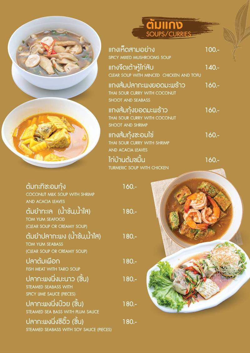 Brown andaman  krabi image