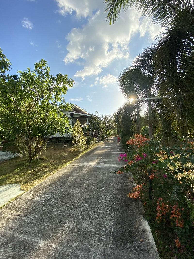 Brown andaman  krabi image
