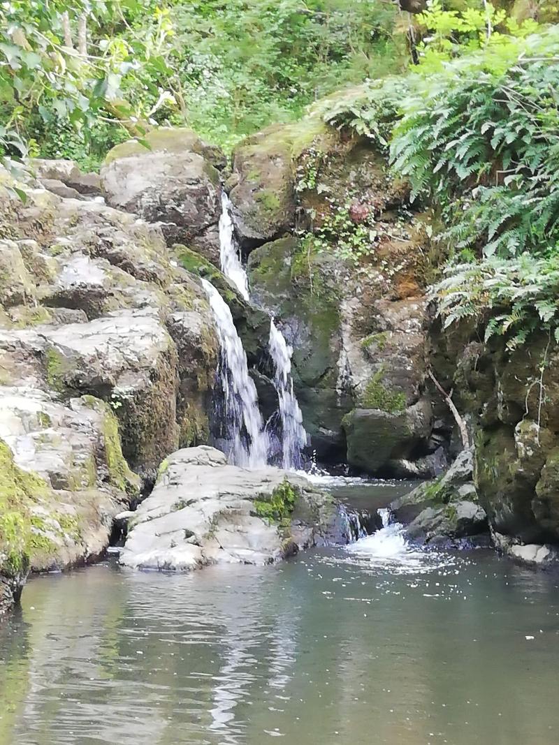 Les Chenêts image