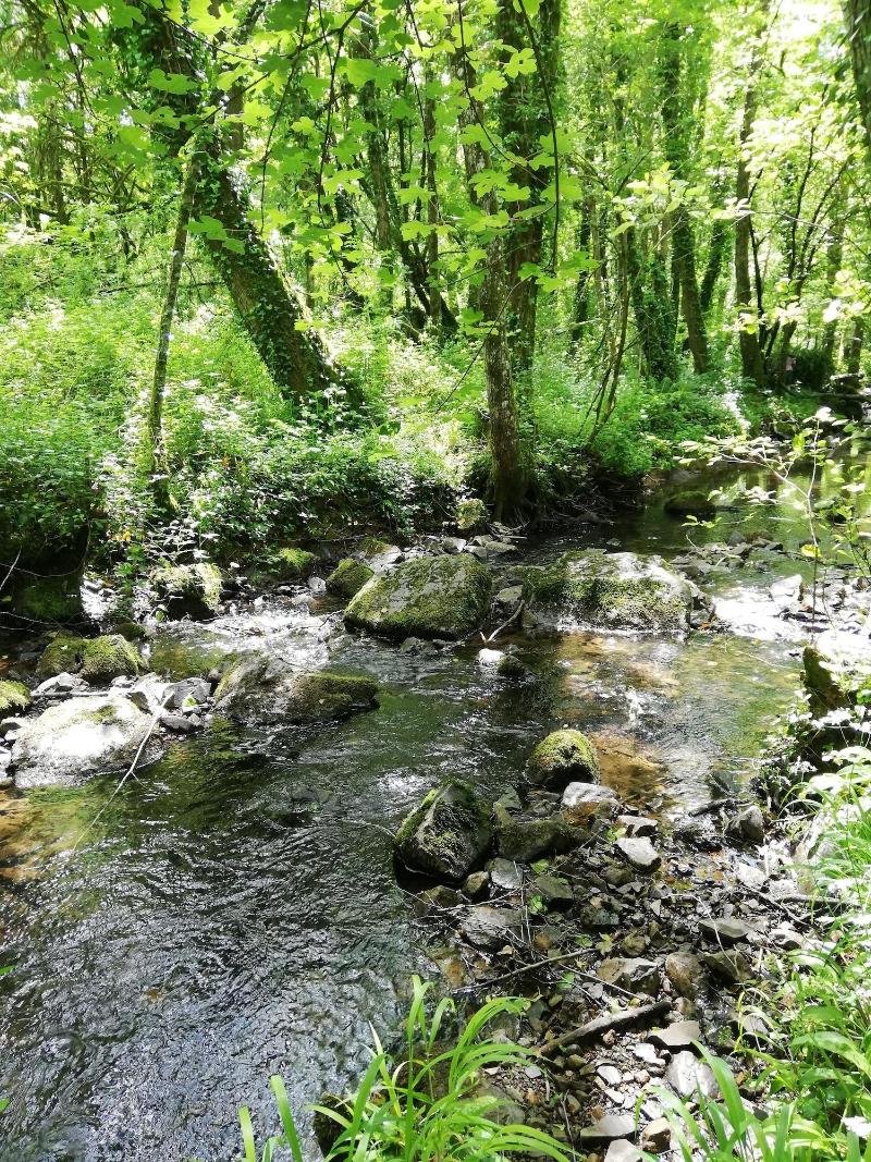 Les Chenêts image