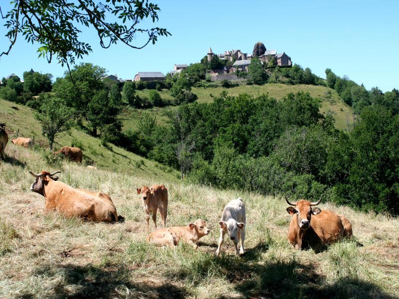 La Vieille Auberge image
