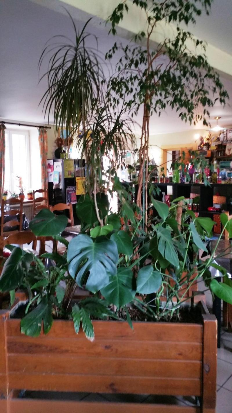 La Vieille Auberge image