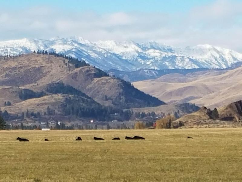 Twisp Terrace Lodge — photo 4