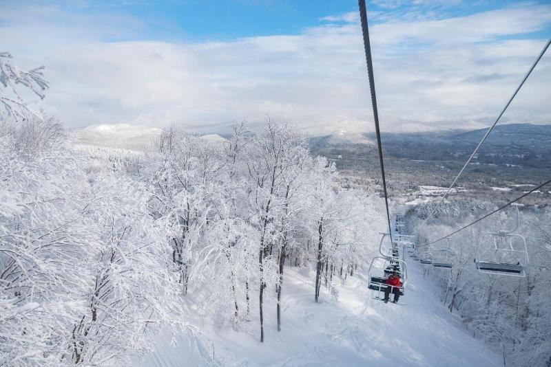 Snow Cap Inn image