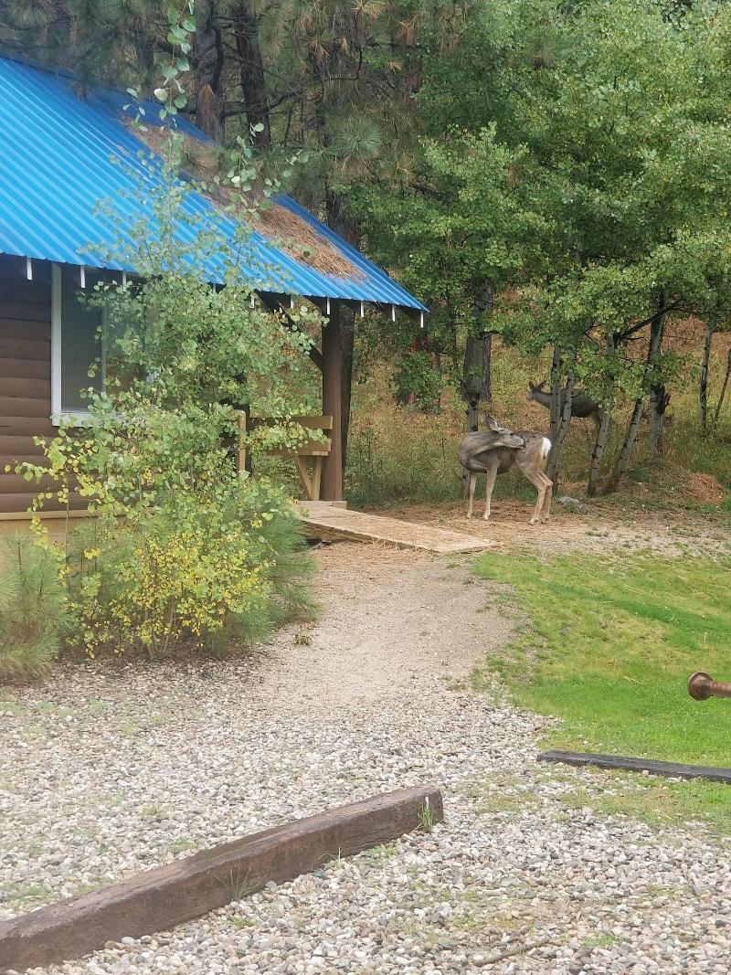 Sourdough Lodge