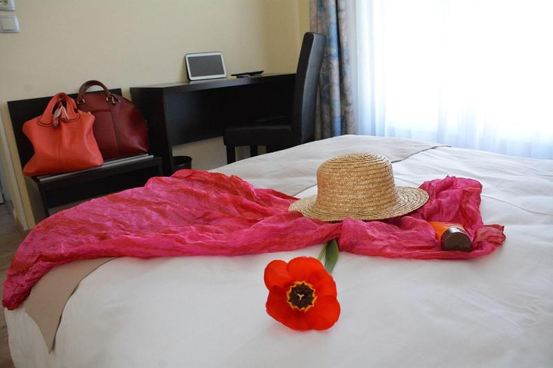 Logis Hotel de France image