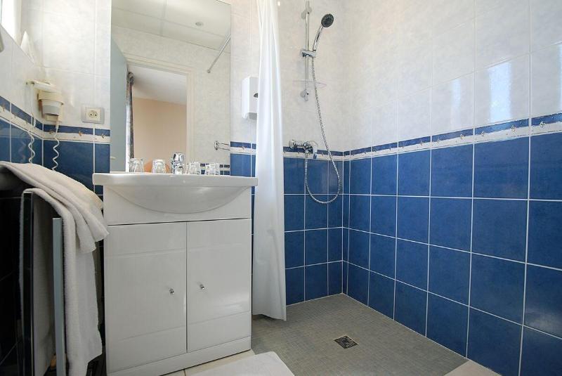 Logis Hotel de France image