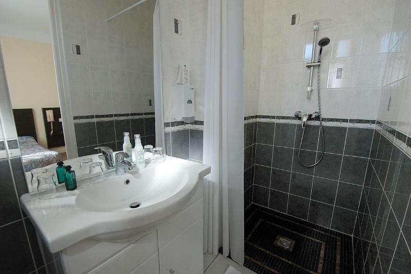 Logis Hotel de France image