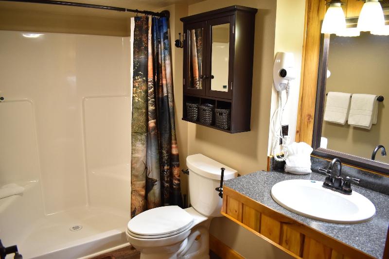 Silver Horseshoe Inn image