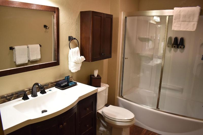 Silver Horseshoe Inn image