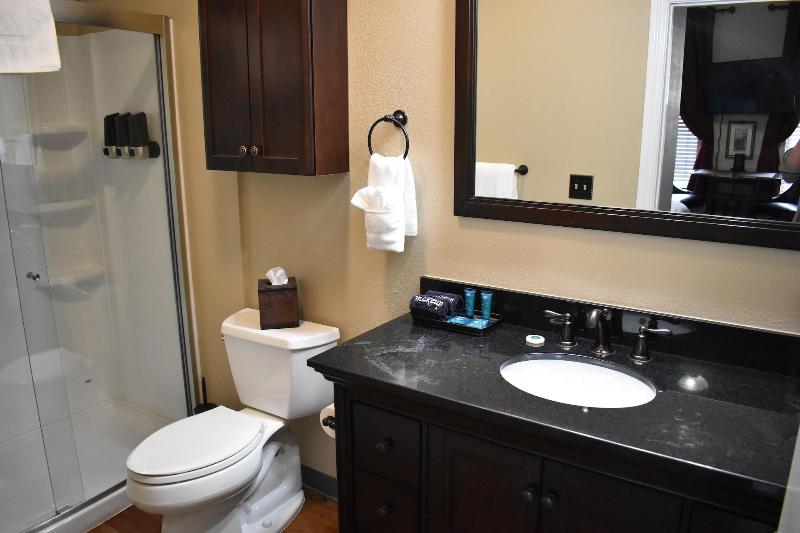 Silver Horseshoe Inn image