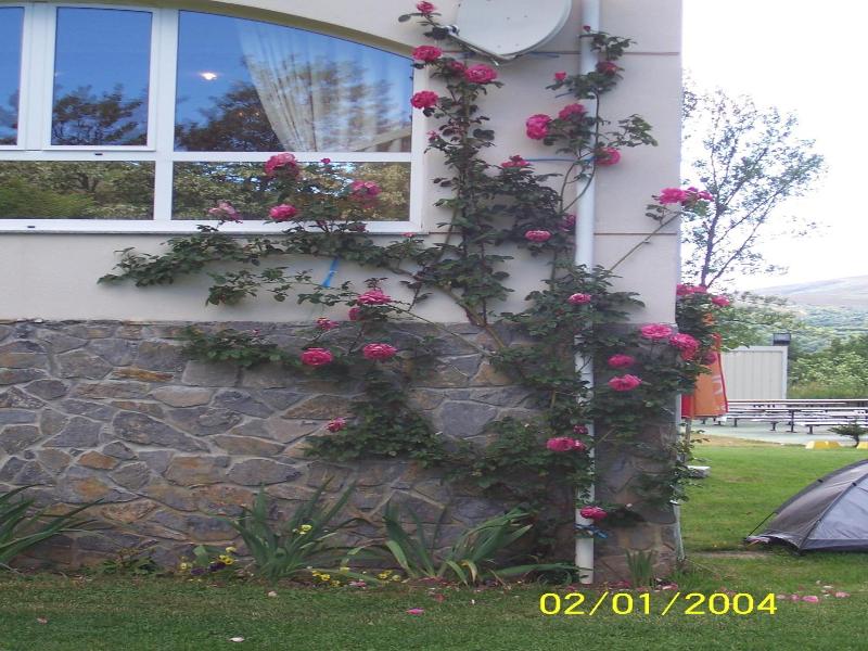 Hotel La Mora image