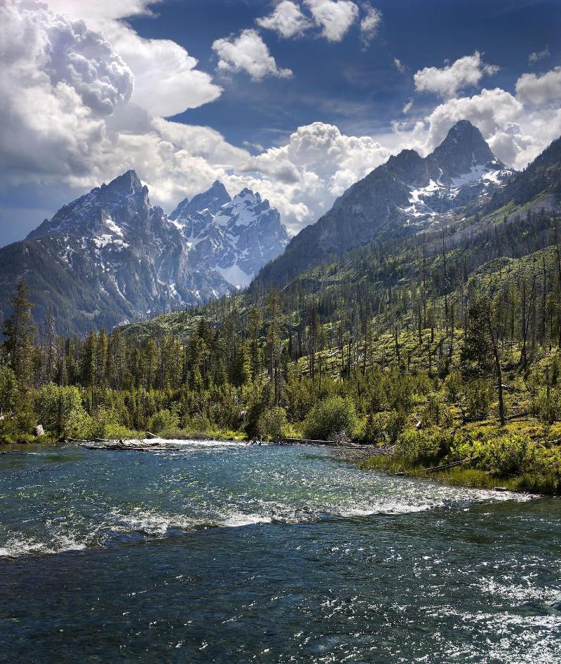 Colter Bay Village image