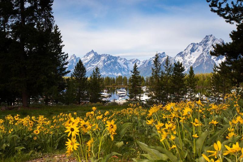 Colter Bay Village image