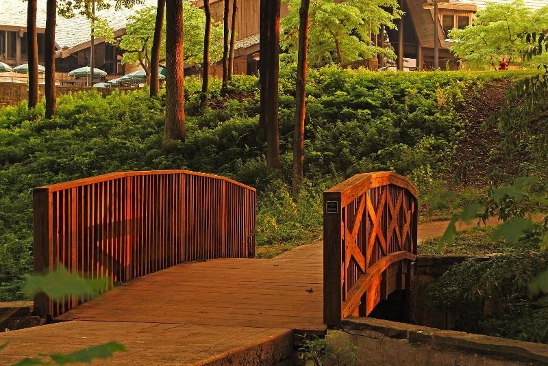 Mohican Lodge And Conference Center — photo 4