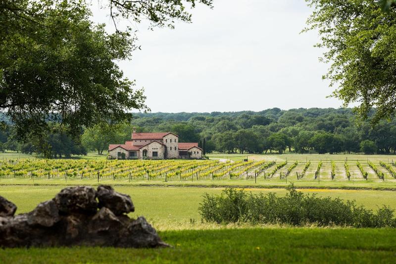 The Vineyard At Florence