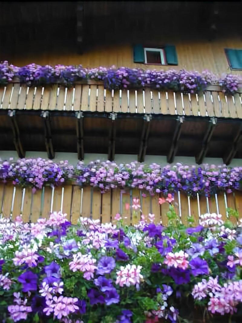 Sport Hotel — photo 2