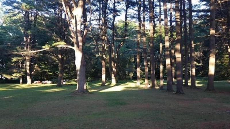 Catskill Motor Court Motel image