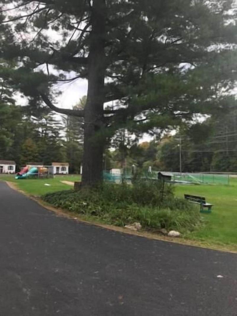 Catskill Motor Court Motel image