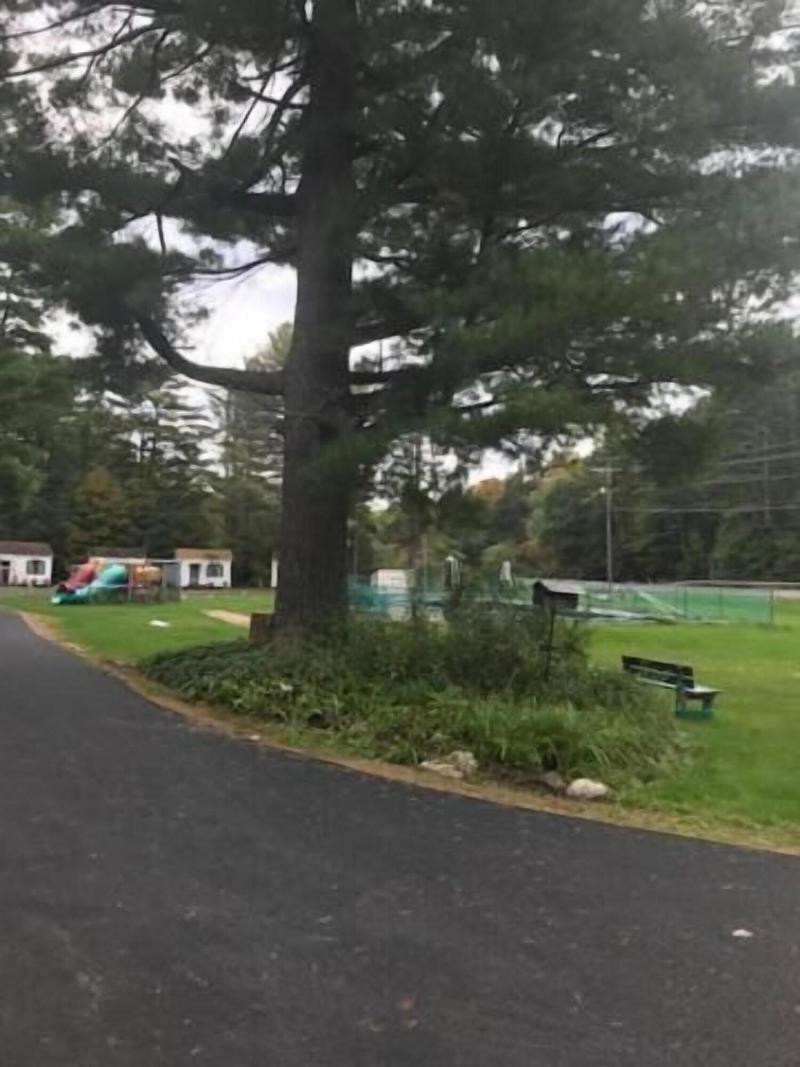 Catskill Motor Court Motel image