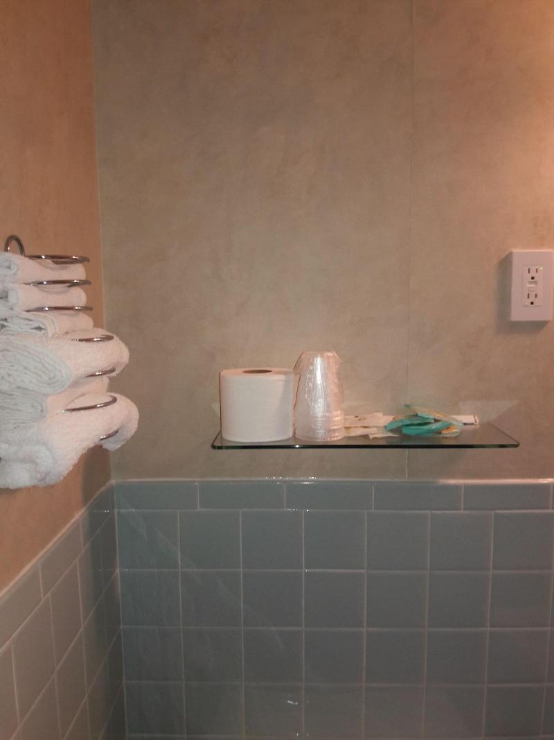 Catskill Motor Court Motel image