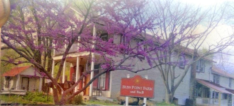 Bliss Point Farm and B&B LLC image