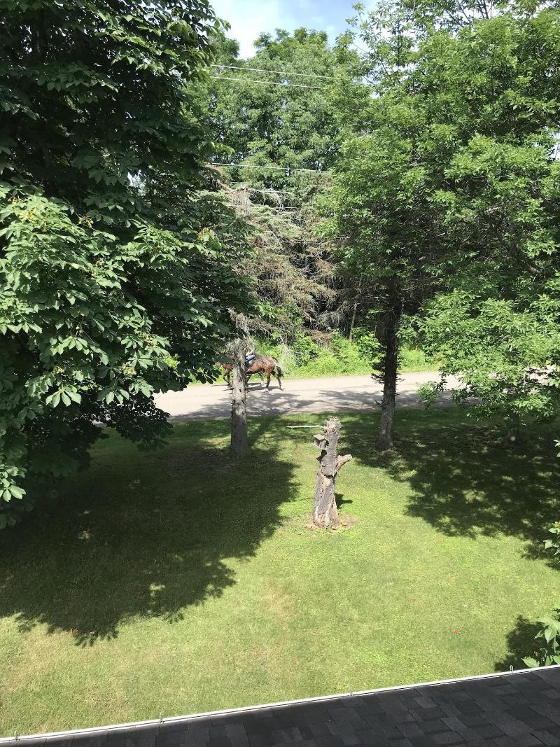 Letchworth Farm — photo 41